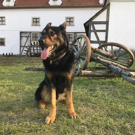 V Soukromí Prázdninový dům
