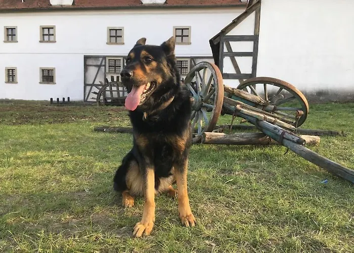 V Soukromi Feriehus